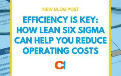 Efficiency is Key: How Lean Six Sigma Can Help You Reduce Operating Costs